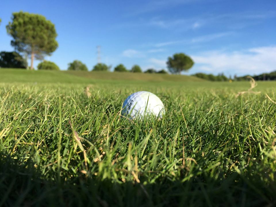 golf ball